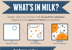Milk Infographic