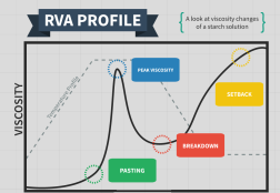 RVA Profile