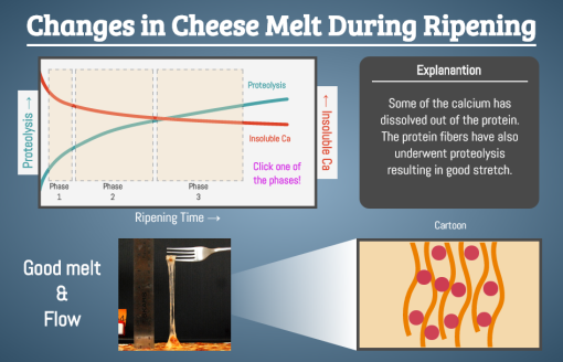 Cheese Melting Graphic