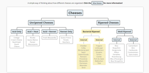 Cheese Classification