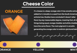 Cheese Color