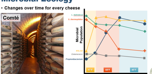 Science of Farmstead Cheese