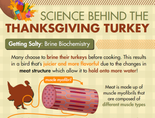 Turkey Science Infographic