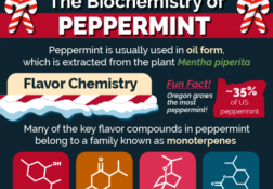 Peppermint Infographic