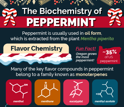 Peppermint Infographic