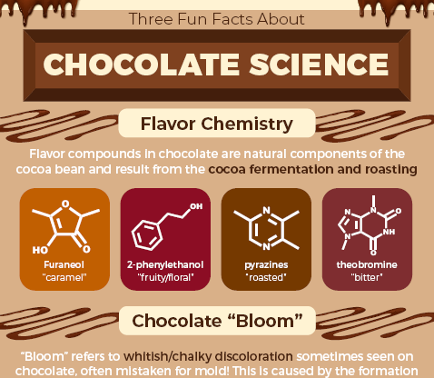 Chocolate Science