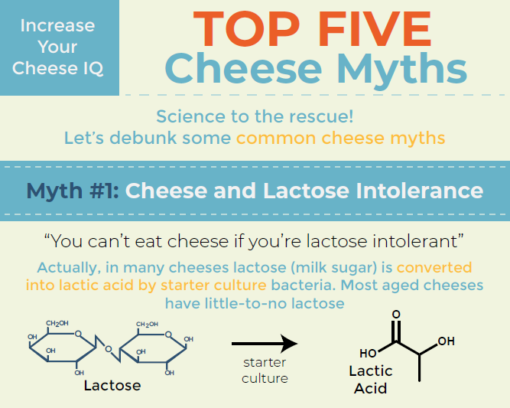 Top 5 Cheese Myths