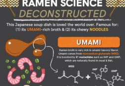 Ramen Science