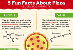 Pizza Infographic